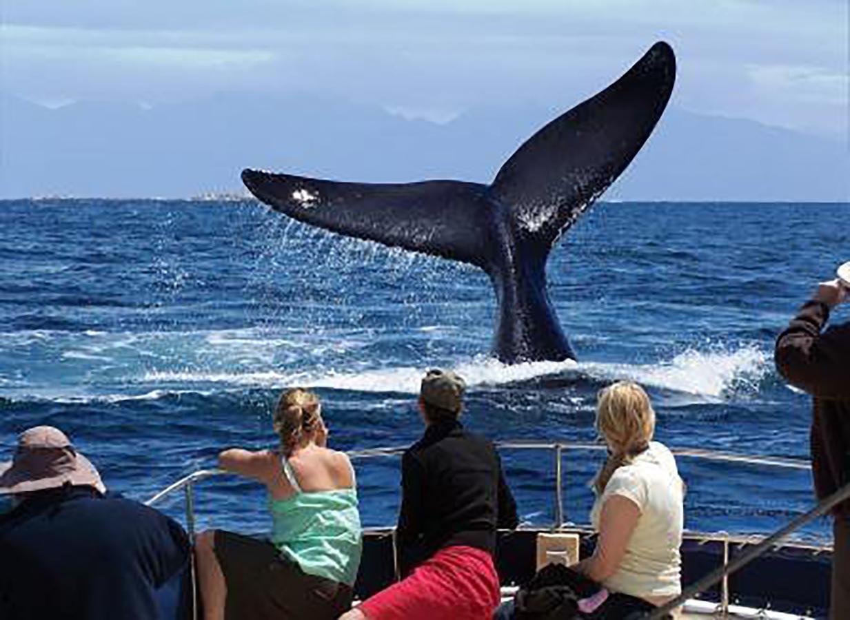 Fish Hoek Whale Watchers Apartments Εξωτερικό φωτογραφία